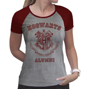 Футболка ABYstyle Harry Potter XL Серая (ABYTEX503XL) ТОП в Ровно