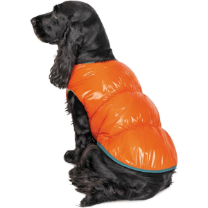 Жилет Pet Fashion "SPRING" для собак розмір XL, Помаранчевий (4823082420506) ТОП в Рівному