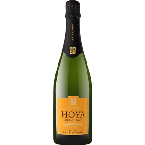 Вино игристое Hoya de Cadenas Cava Brut Nature белое брют 0.75 л 11.5% (8410310605994) лучшая модель в Ровно