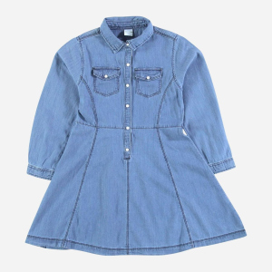 Платье джинсовое с длинными рукавами Piazza Italia 70029 172 см Denim (2070029001089) ТОП в Ровно