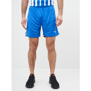 Спортивні шорти Mizuno High-Kyu Short V2EB700122 L (5054698344941) в Рівному