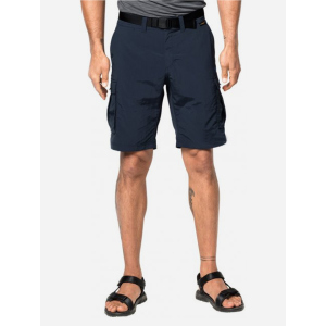 Шорти Jack Wolfskin Canyon Cargo Shorts 1504201-1010 50 (4055001473182) краща модель в Рівному