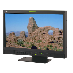 Монитор Jvc Monitor Dt-V21G2 в Ровно