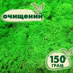 Очищений стабілізований мох ягель Nordic moss Зелений трав'яний світлий 150 грам ТОП в Рівному