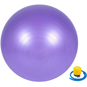 М'яч для фітнесу Newt 65 см Фіолетовий (487-626-1-V) в Рівному