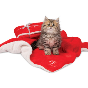 купити Плед для собак та котів Pet Fashion New Year Gift 1 75х60 см Червоний з білим (4823082419524)