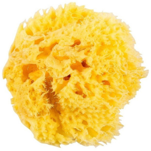 Натуральна морська губка Ok Baby Honeycomb Sea Sponge розмір 12 (38471200) в Рівному