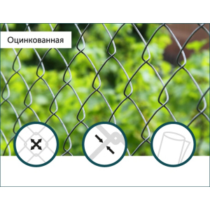 Сітка Рабиця оцинкована Сітка Захід 60х60/3,0мм 1,5м/10м в Рівному