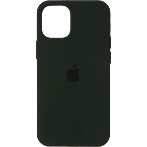 Панель ArmorStandart SilIcone Case для Apple iPhone 12 Pro Max Cyprus Green (ARM57610) краща модель в Рівному